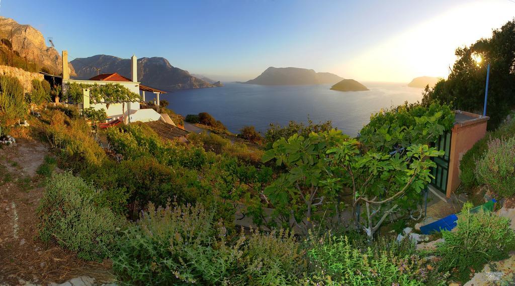 Villa Anna Skaliá エクステリア 写真